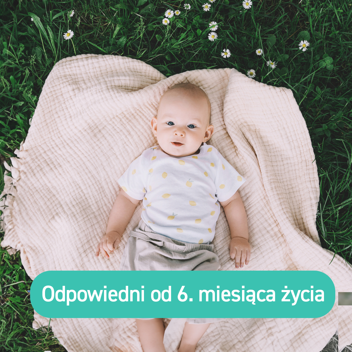 b5940467b84af1a3ddf27f0c8a4207b4