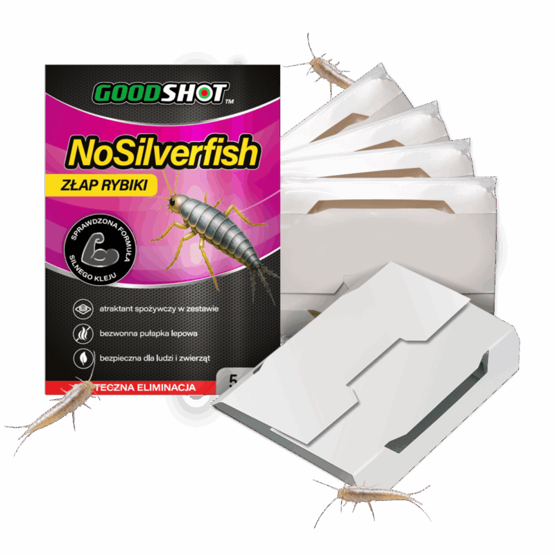 04955db5ddb9be66e53898e8689013c3