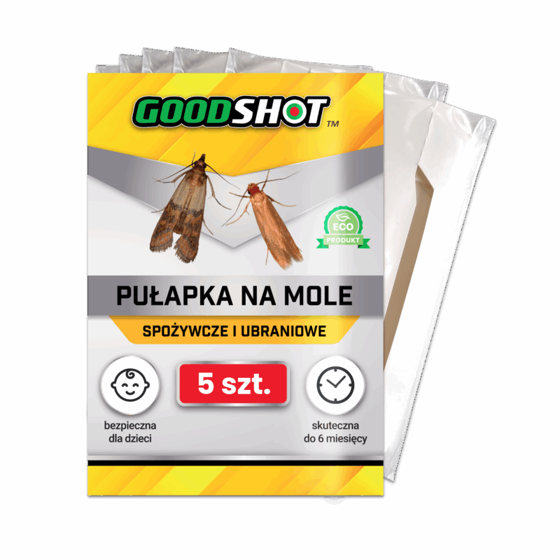 a8260d18b2a44bd86af567fb52536758