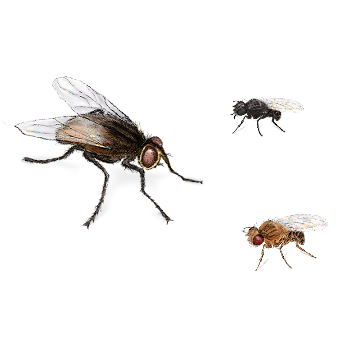 d447a1221f3c514eaaa27a75df7a6e60