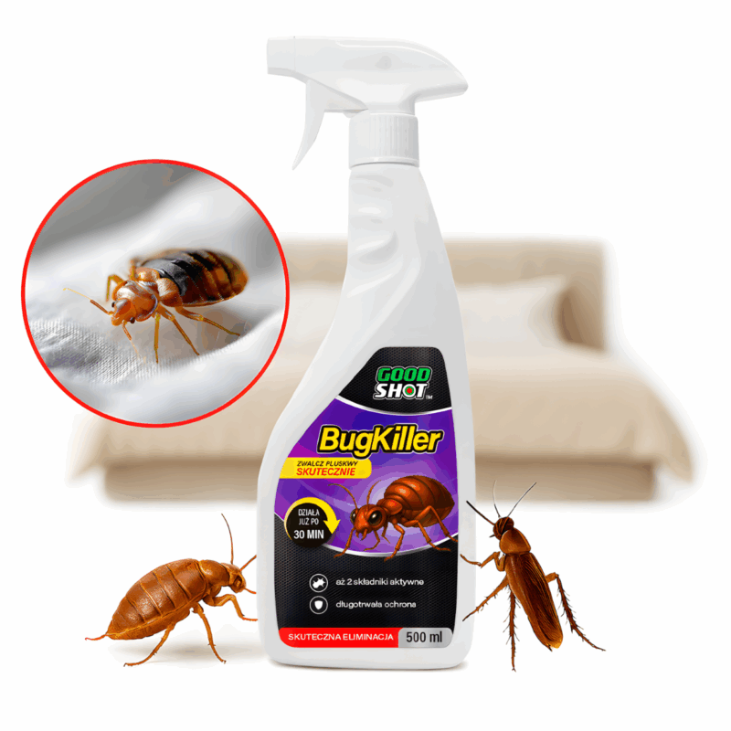 b68c288456529a5dfba886a8c9cc9575