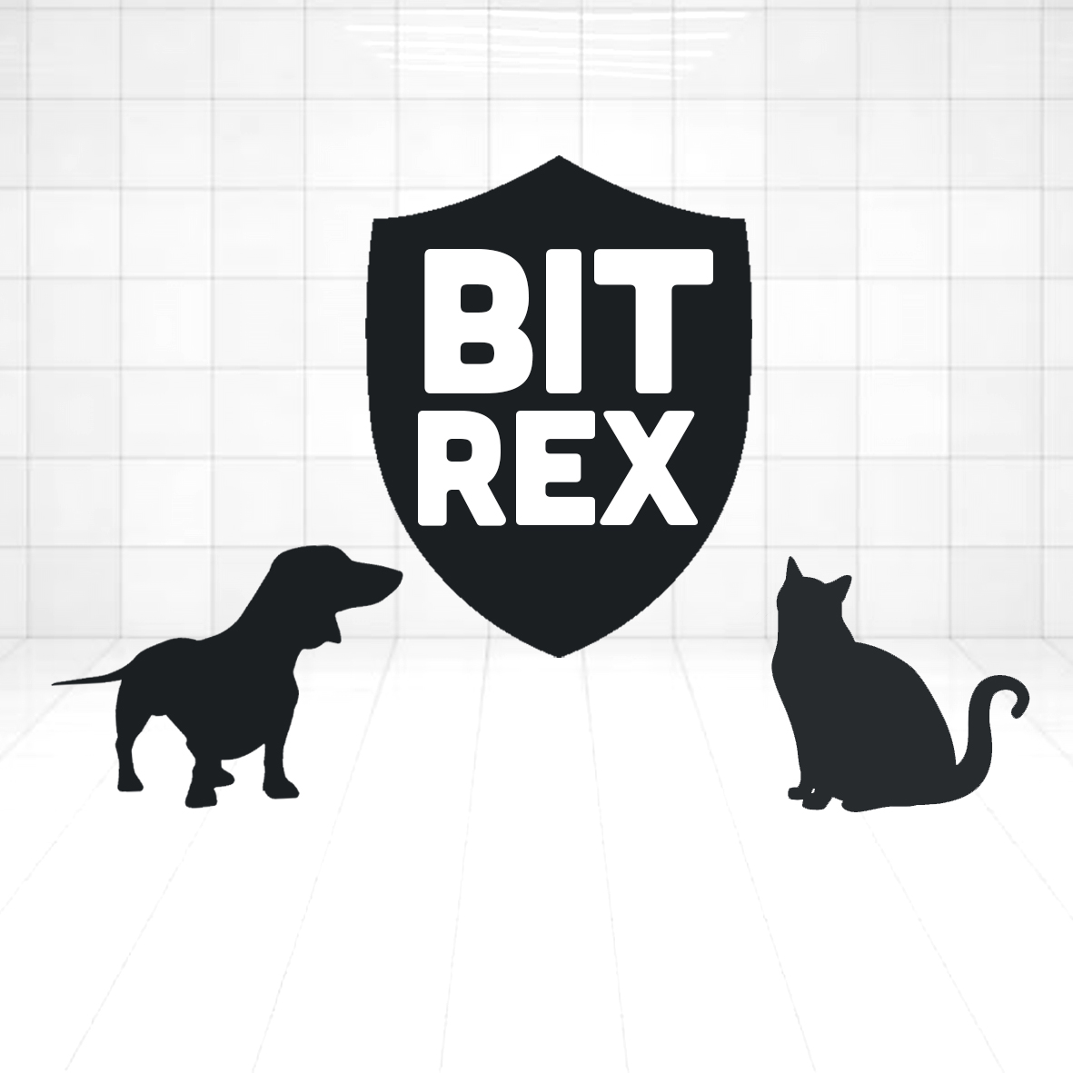 68e31ce77281f5ed92ab5aa37a627c69