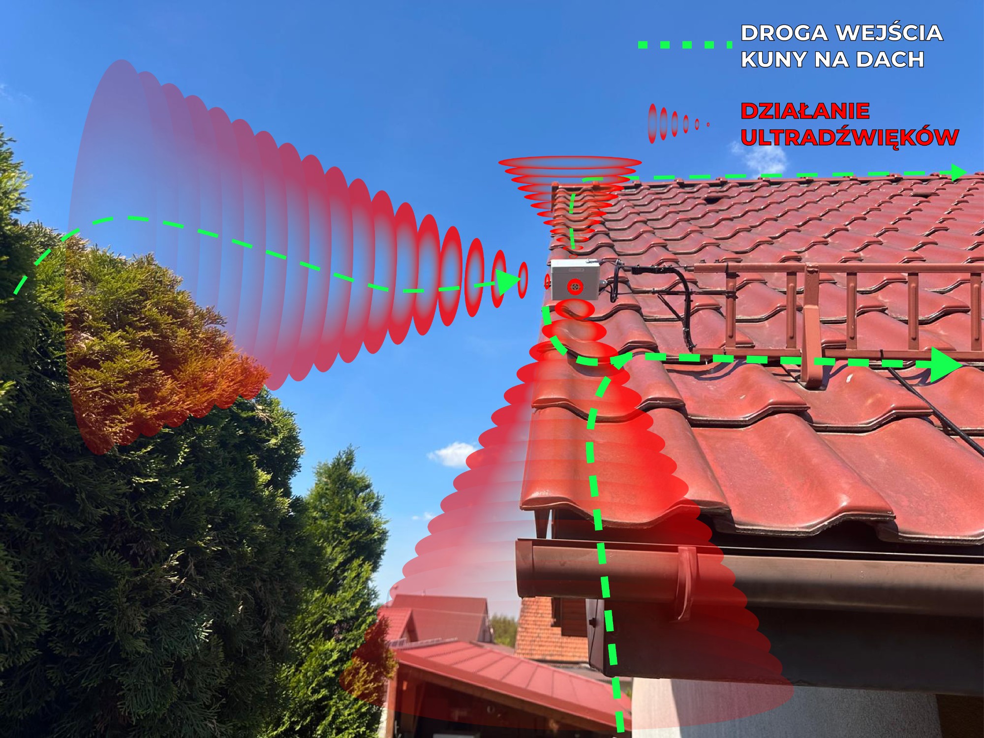 71e777f25f9009bfe63dae82207446a9